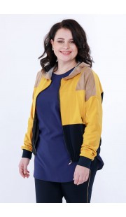 Спортивная кофта Belinga 5042 синий с жёлтым