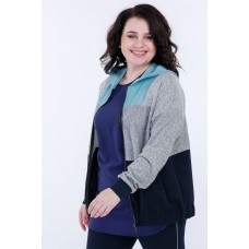 Спортивная кофта Belinga 5043 синий с серым Спортивная кофта Belinga 5043 синий с серым