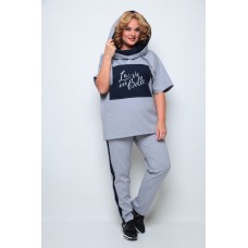 Спортивный костюм Michel Chic 1227 серый, синий