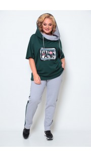 Спортивный костюм Michel Chic 1227 зеленый, серый