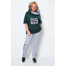 Спортивный костюм Michel Chic 1227 зеленый, серый